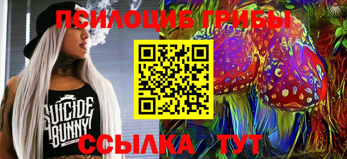 Галлюциногенные грибы прущие грибы  Вход с VPN  Псилоцибиновые грибы Cubensis  Протвино 
